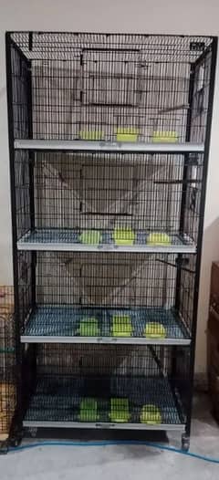 4 portion cage bilkul safe halat men