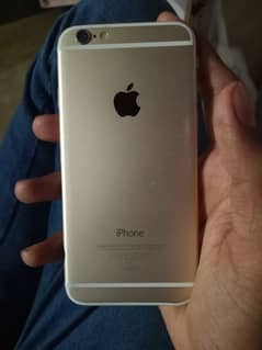 iPhone 6