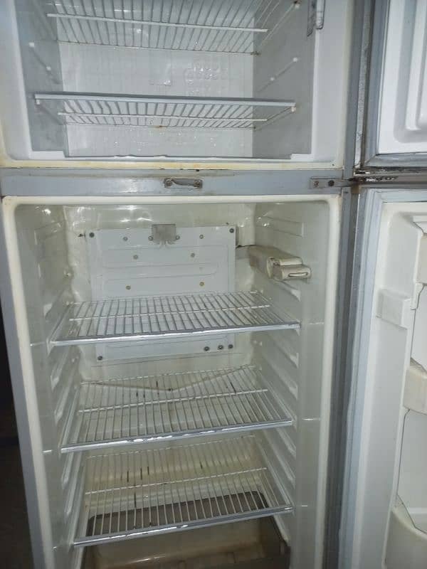 used Dawlance Feidge and single door Deep Freezer for sale 1