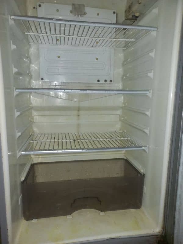 used Dawlance Feidge and single door Deep Freezer for sale 4