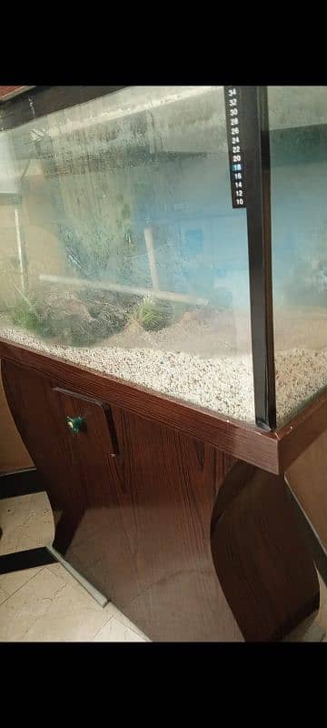 fish eqarium for sale 5