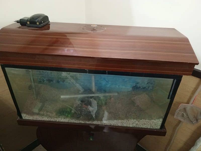 fish eqarium for sale 7