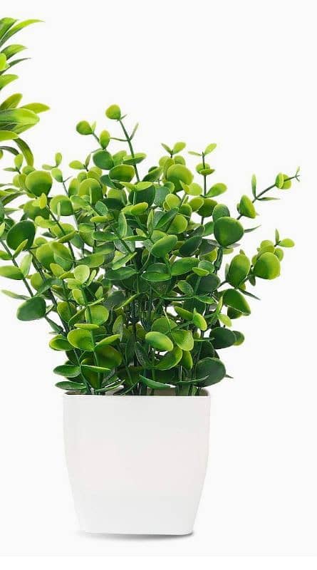 Artificial Plants for Home Decoration. 1 piece. (Green Colored 1