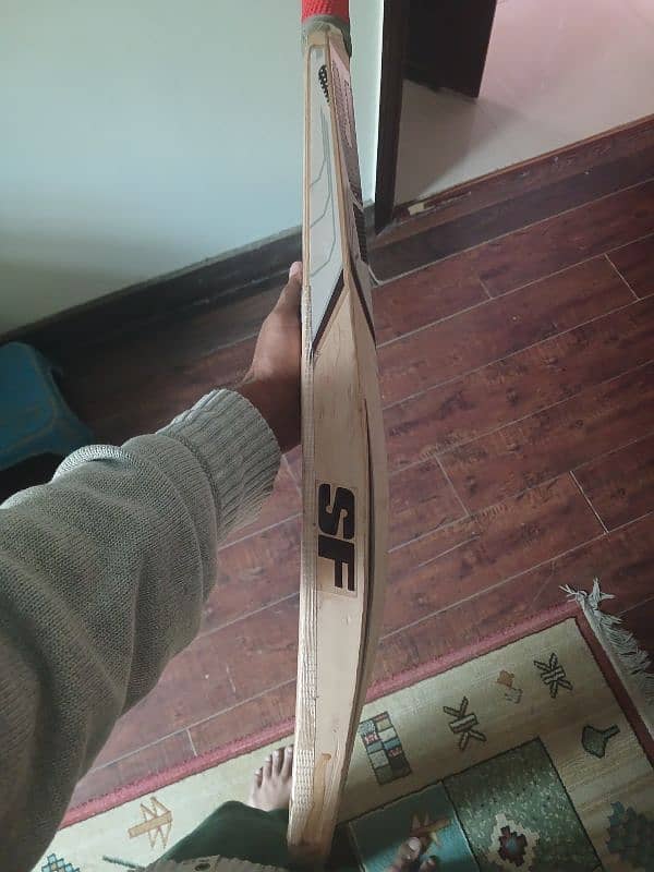 SF cricket bat 1