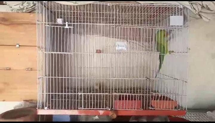 Birds Cage For Sale/ Parrot Cage / Iron Cage / Strong Cage / Cages 2