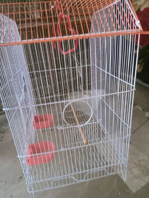 cage for bird 2