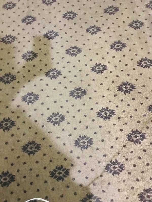 carpet for sale 1