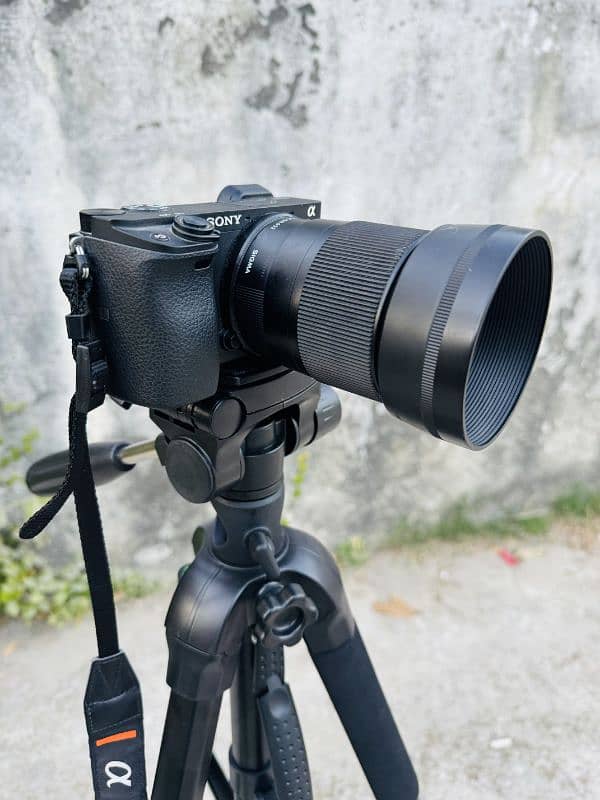 Sony alpha 6400 with kit lens and sigma 30mm lens and tripod 7