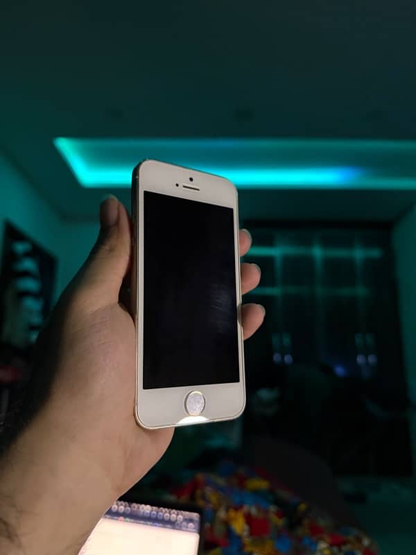 iphone 5s 32gb 10