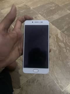 Vivo 17 13 model