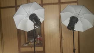 electro 600 umbrella lights