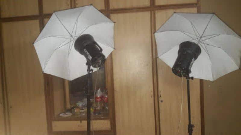 electro 600 umbrella lights 0