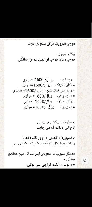 Job/Working Visa Available. بیرون ملکے آسامیاں خالی ہیں ۔ 4