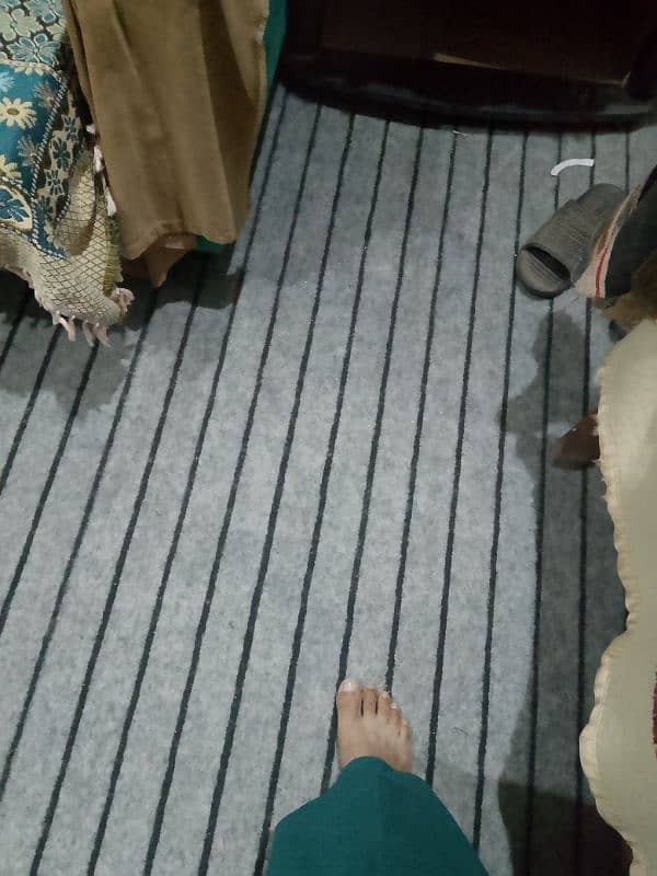 carpet 10by903052250100 2