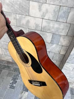 acoustic Guitar excel 36 Imported