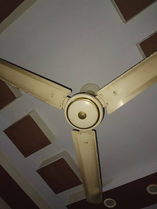 Used Fan for Sale 2