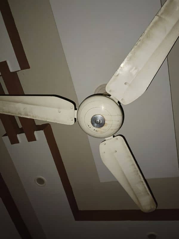 Used Fan for Sale 4