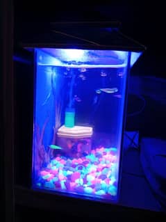 Compact Aquarium with fishes for sale