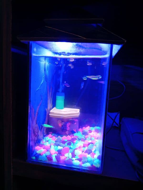 Compact Aquarium with fishes for sale 0