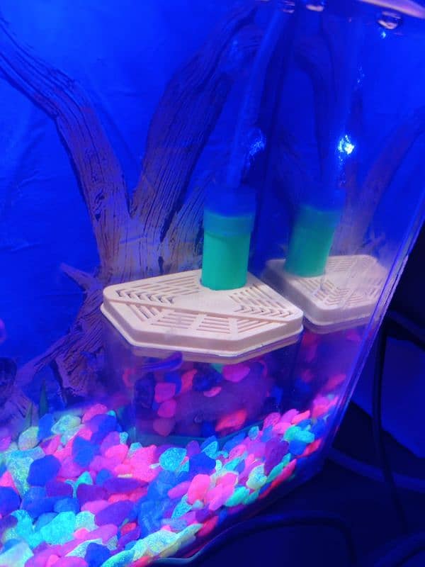 Compact Aquarium with fishes for sale 2