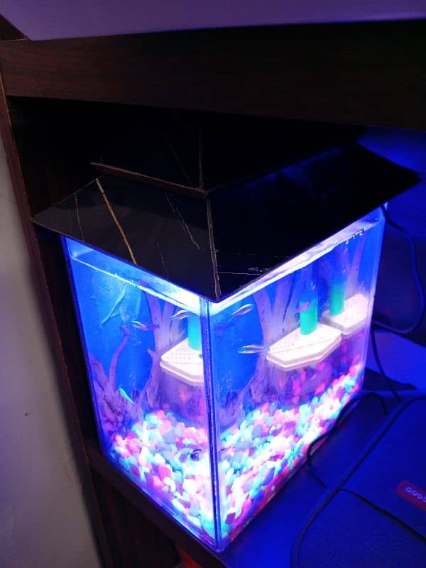 Compact Aquarium with fishes for sale 3