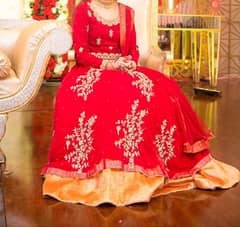 Zari Red Lehnga Choli