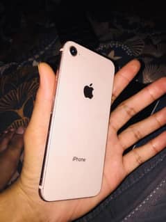 iphone 8 [10/8] condition