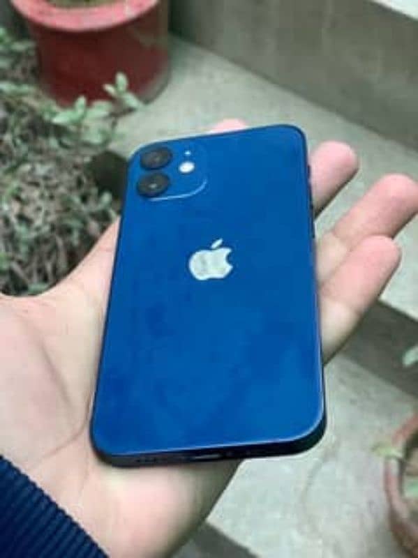 iphone 12 pta 64gb 1