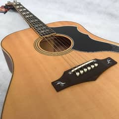 Brand new Eko Ranger VI Custom Semi Acoustic Guitar.