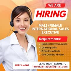 INTERNATIONAL SALES EXECUTIVE