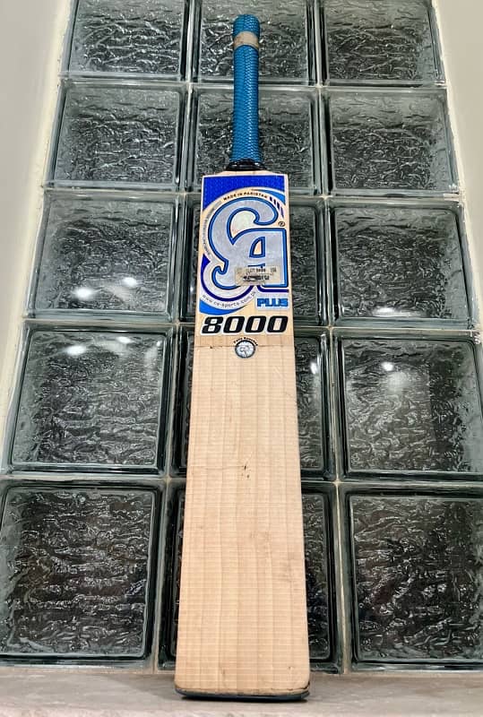 CA Plus 8000 Hard Ball Cricket Bat 1