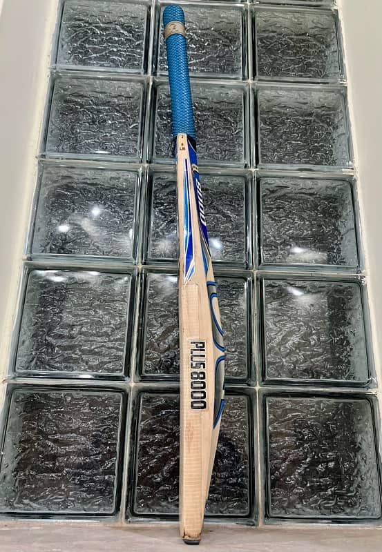 CA Plus 8000 Hard Ball Cricket Bat 3