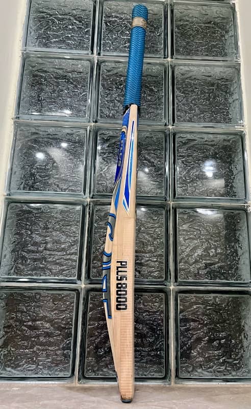 CA Plus 8000 Hard Ball Cricket Bat 4