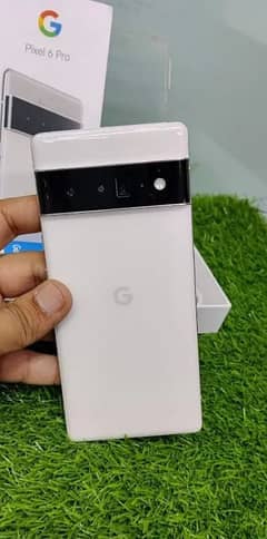 google pixel 6 Pro