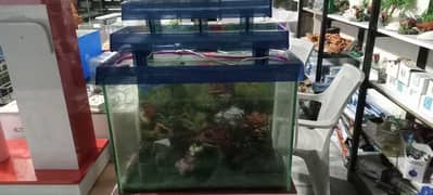 2 feat aquarium 8mm gilas ma new ha 03413390669