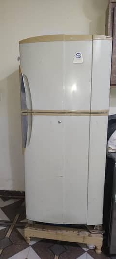 pel medium size refrigerator