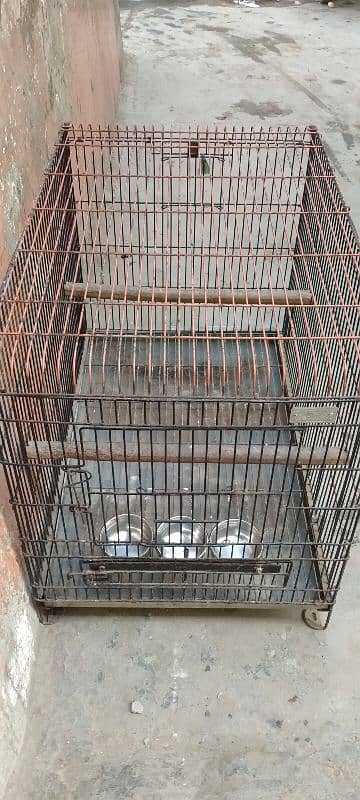 Big size Cage 3