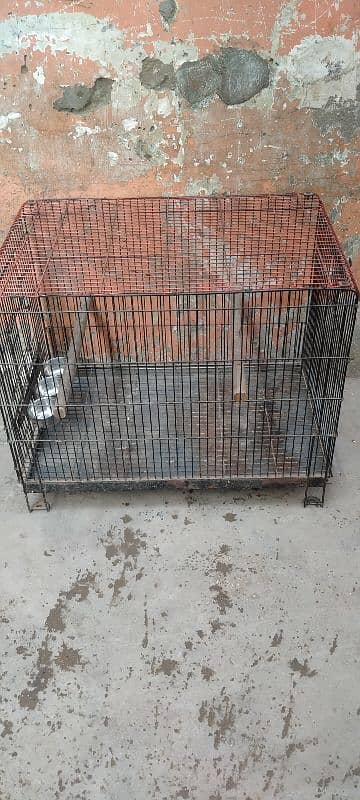 Big size Cage 6