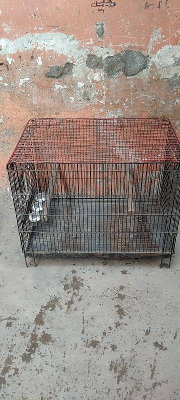 Big size Cage 7