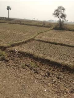 Agriculture land for sale