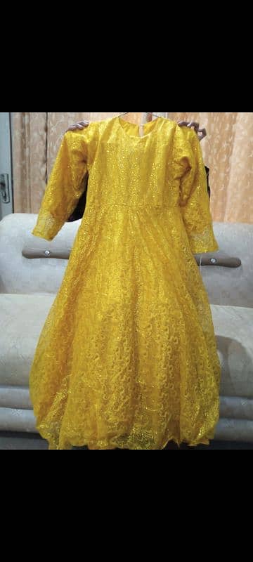 Fancy frocks 17