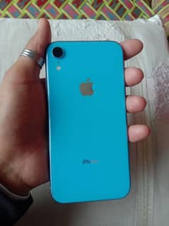 Iphone xr (03001305566)