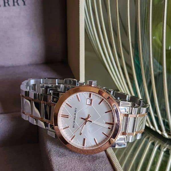 Dial Quartz Watch/Original Dial Quartz Watch/Burberry watch 1