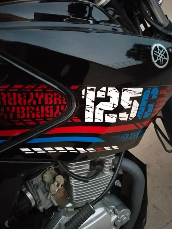 YBR 125g 10