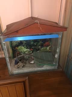 Fish Aquarium