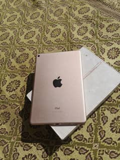 ipad mini5 10 by 8