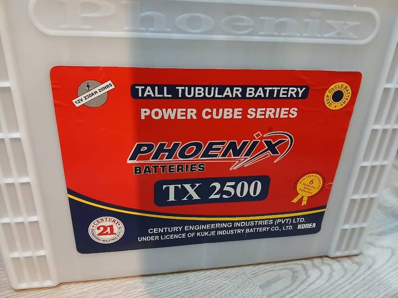 TX2500 Tubular Batteries 1