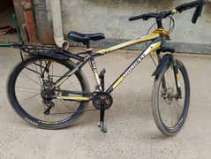 Bicycle for sale