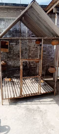 Cage for Birds