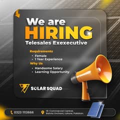 Telesales person